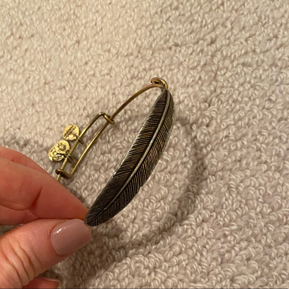 Alex and Ani adjustable bracelet